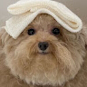 Meet your Posher, Nana